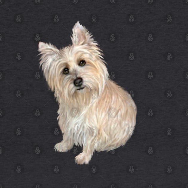 Wheaten Colored Cairn Terrier - Just the Dog by Dogs Galore and More